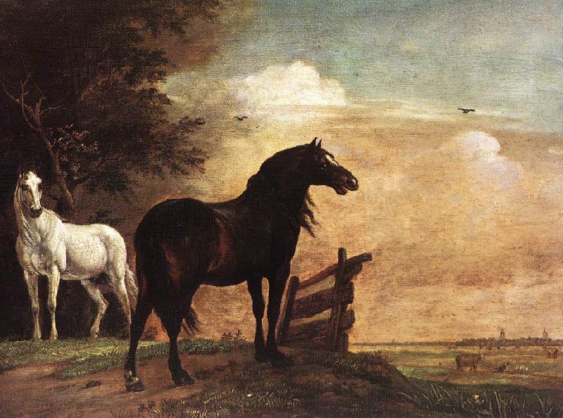 POTTER, Paulus Horses in a Field zg